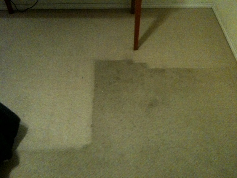 /images/Job Pics/carpet.jpg
